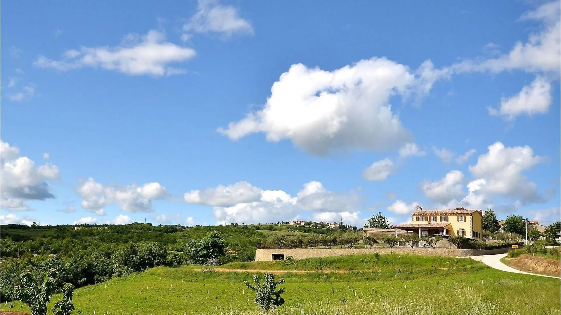 Villa Olea Buzet Holiday home